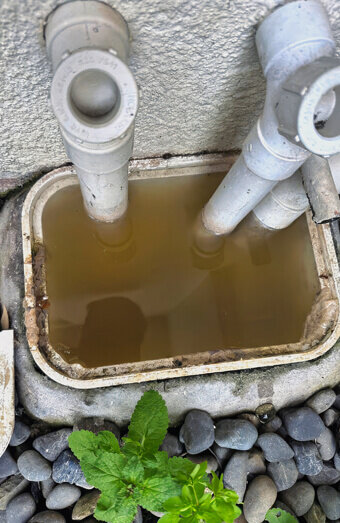 https://blockeddrainsmyaree.com.au/uploads/2025/07/blocked-drains-82500.jpg