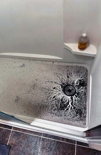 https://blockeddrainsmyaree.com.au/uploads/2025/07/blocked-shower-drains-83587.jpg