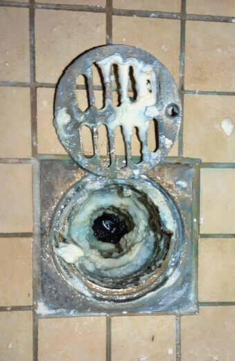https://blockeddrainsmyaree.com.au/uploads/2025/07/blocked-shower-drains-86331.jpg
