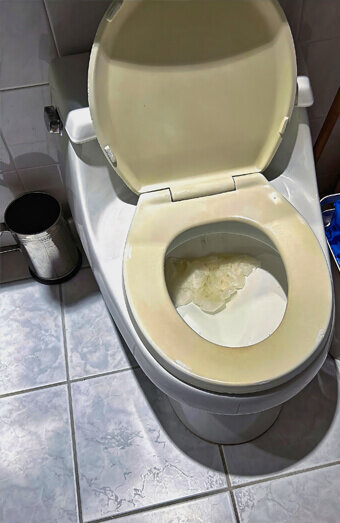 https://blockeddrainsmyaree.com.au/uploads/2025/07/blocked-toilet-27293.jpg