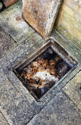 https://blockeddrainsmyaree.com.au/uploads/2025/07/hero-blocked-sewers-64792.jpg