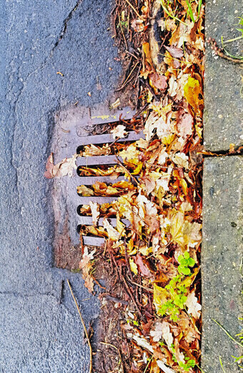 https://blockeddrainsmyaree.com.au/uploads/2025/07/stormwater-drains-48051.jpg